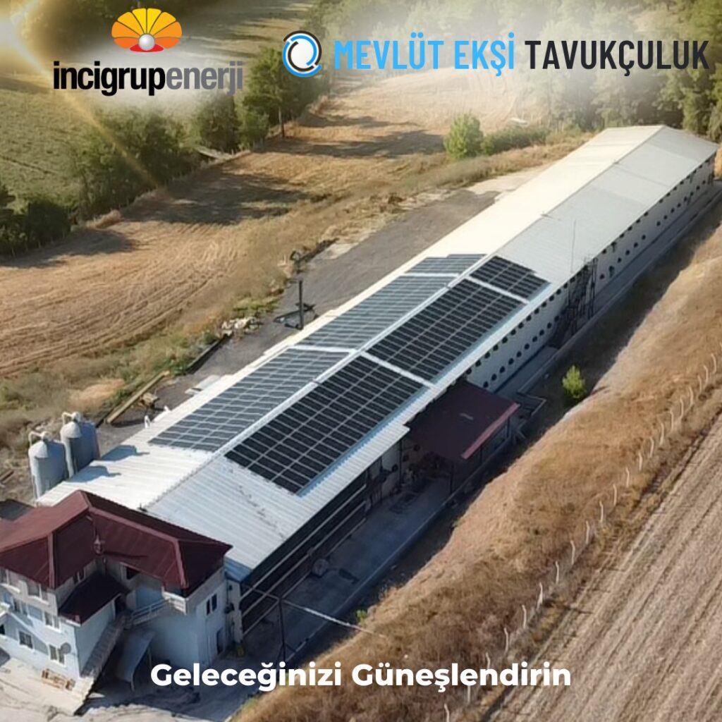 Banvit Mevlüt Ekşi Tavuk Çiftliği